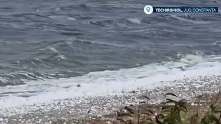 VIDEO Explicația unui fenomen de pe malurile lacului Techirghiol