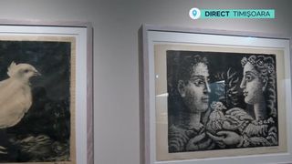 VIDEO Operele lui Picasso, pentru prima dată &icirc;n Rom&acirc;nia: expoziție unică la Timișoara