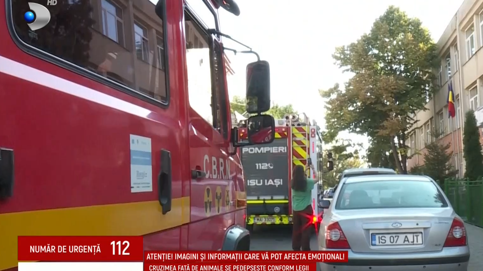 VIDEO Alertă la o școală din Iași! Cinci pisici au fost găsite moarte în curtea instituției