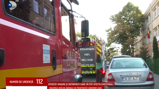 VIDEO Alertă la o școală din Iași! Cinci pisici au fost găsite moarte &icirc;n curtea instituției 