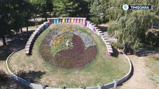 VIDEO Soluții pentru salvarea ceasului floral din Timișoara