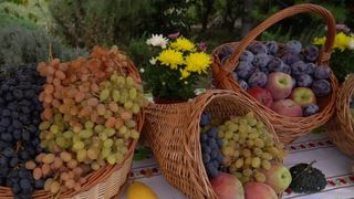  O zi &icirc;n Toscana Rom&acirc;niei