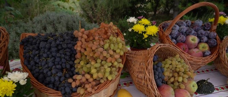 O zi în Toscana României