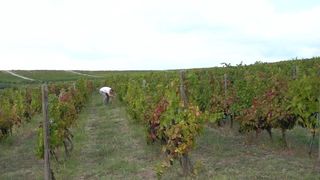  O zi &icirc;n Toscana Rom&acirc;niei