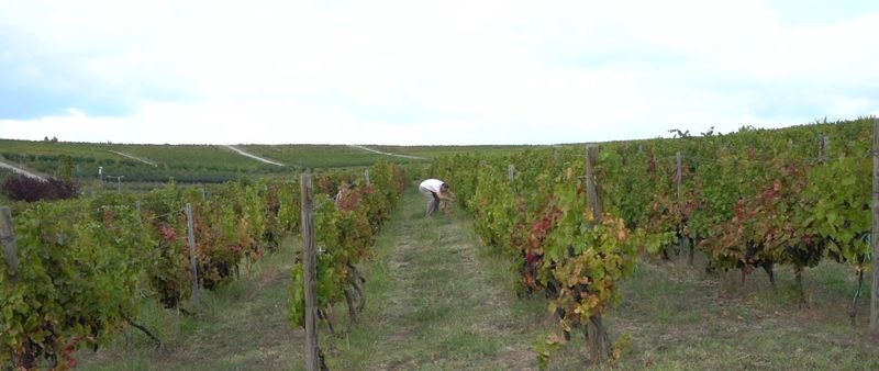  O zi în Toscana României
