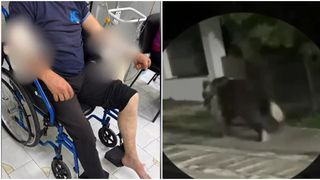 VIDEO Doi bărbați, sf&acirc;șiați de un urs. Unul dintre ei este &icirc;n stare gravă după ce a pierdut mult s&acirc;nge