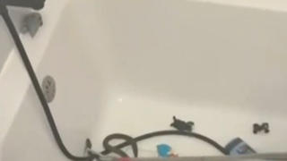 VIDEO Șarpe surpriză &icirc;n cada unui apartament din Megidia