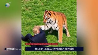 VIDEO Donald Trump, &icirc;mbl&acirc;nzitor de tigri &icirc;n clipuri cu inteligență artificială și mesaje controversate despre natura sălbatică