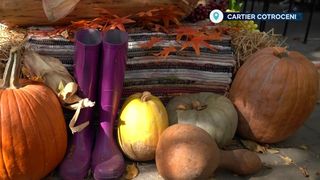 Toamna &icirc;n București: locații decorate &icirc;n spiritul sezonului