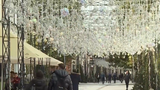 VIDEO Craiova, &icirc;ntre luminițele de Crăciun și realitatea dură a periferiei. Locuitorii din Plaiul Vulcănești se confruntă cu lipsuri majore