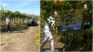 Rom&acirc;ncă sp&acirc;nzurată de un măslin, &icirc;n Italia. Maria a dispărut &icirc;n timp ce călătorea cu partenerul de viață 