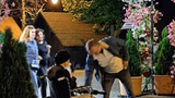 VIDEO Cerșetor &bdquo;milionar&rdquo; la pelerinajul Sfintei Parascheva. C&acirc;știguri uriașe, mașină de lux și trucuri controversate