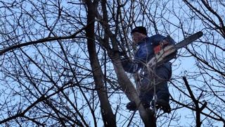 Un inginer silvic a murit &icirc;n timpul unor lucrări de curățare a copacilor, după ce o creangă a căzut peste el