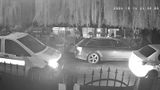 VIDEO Mascații au dat lovitura la remi. Intervenție pentru o miză de 196 de lei