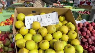 VIDEO Parfum și gust autentic, la T&acirc;rgul Mărului