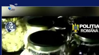 VIDEO Tabere &bdquo;spirituale&rdquo; cu droguri, anchetate &icirc;n comuna Boșorod din Hunedoara