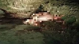 A tarat o vita cu masina dupa el pana cand si-a dat duhul. Apoi a transat-o pe marginea drumului. Cruzime fara margini intr-un oras din Romania.