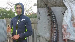 Risca puscaria pentru ca a baraconat sturioni! E interzis prin lege din 2015 pescuitul acestui tip de peste!