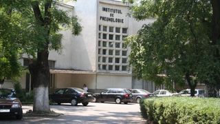 Invazie de sobolani la spitalul de plamani din Bucuresti: "Vin prin subsoluri! Bantuie prin curte, pe la gunoi"