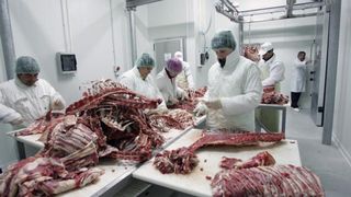 Controale in toata tara pentru a se vedea cat de prezenta este bacteria E-coli in carnea si lactatele cumparate de romani!