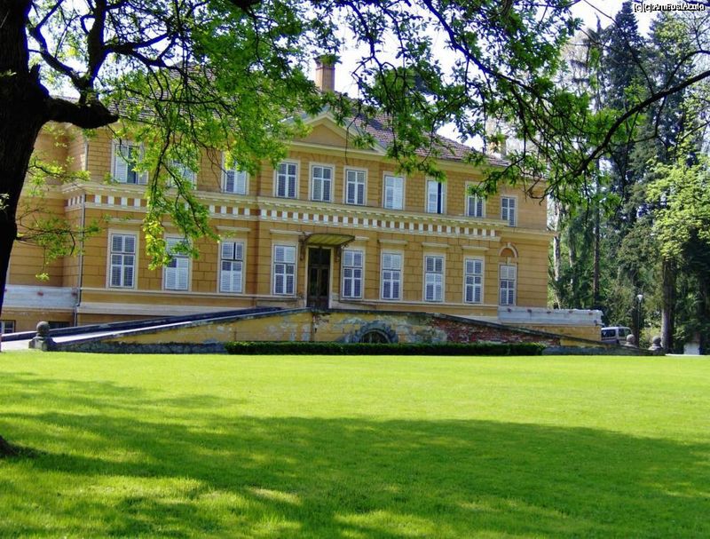 Castelul Savarsin este resedinta regala