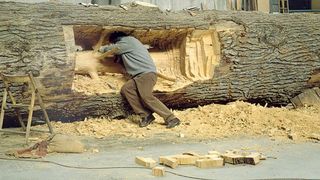 Un artist italian a "decupat" un copac, realizand o opera de arta in lemn! Giuseppe Penone a eliminat inelele de crestere ale copacului, dezvaluind interiorul acestuia