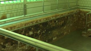 Cladiri ce ar fi putut deveni SPA-uri de lux, zac in degradare! Complexul termal de la Timisoara e o ruina!