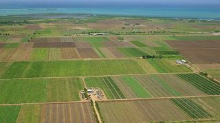 Parlamentarii, ingrijorati ca Romania e vanduta la bucata strainilor! Se strang semnaturi pentru constituirea unei comisii de ancheta