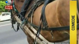 Prins cu caruta in oras! Risca o amenda de 1000 de lei