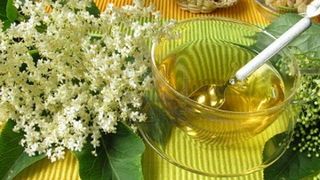 Florile de soc, o adevarata minune a naturii. Putini stiu insa ca este o planta miraculoasa. Iata pentru ce o recomanda specialistii