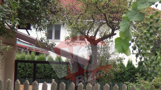 De pe strada, atat se vede din domeniul lui Nastase