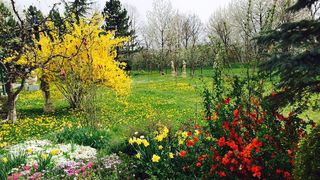 Fostul premier are un adevarat parc, cu plante rare, dar si cu statui