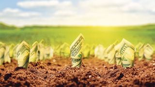 Suspiciuni de frauda la Agentia de Dezvoltare Rurala: toate fondurile europene, in valoare de 22 de milioane de euro, au fost alocate in 6 minute