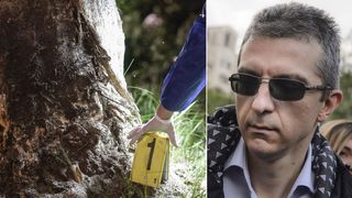 Rezultatul ADN: Dan Condrea se afla la volanul masinii in timpul accidentului