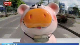 "Cat te costa": Lectie de mers la cumparaturi. De ce buget ai nevoie, ce masina, cu cine si unde