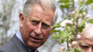 Un motociclist din Germania si-a facut nevoile pe casa Printului Charles din Viscri