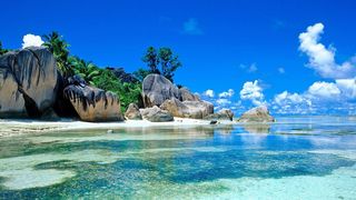 Maria Schutz are o firma in Insulele Seychelles