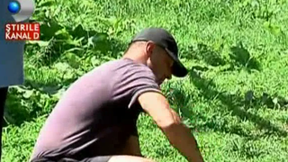 Cearta mare intr-o comuna din Bacau! Un vecin si-a terorizat doua vecine! Mizeria de la el din curte este de nedescris!