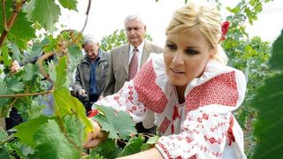 Elena Udrea a pierdut pariul cu agricultura! Firma fostului ministru, care se ocupa de cele 47 de hectare de teren arabil din Calarasi, a iesit pe minus cu 150.000 de euro