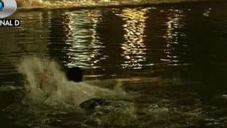 Au facut facut haz de inundatii. Cativa tineri din Craiova s-au balacit ca la Mamaia in apa revarsata in oras