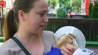 Imaginile groazei. A venit la medicul veterinar sa isi trateze cainele, dar a plecat cu el aproape mort