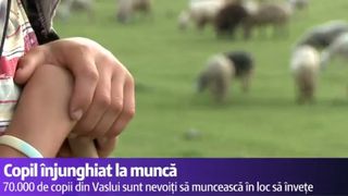 Tentativa de crima si caz de exploatare a minorilor in Vaslui. Un copil de 13 ani, aflat la munca, in loc la scoala, a fost injunghiat de angajator