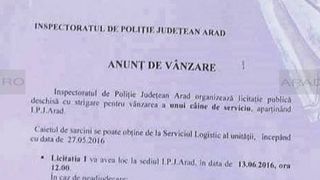 Anuntul de la sediul Politiei Arad