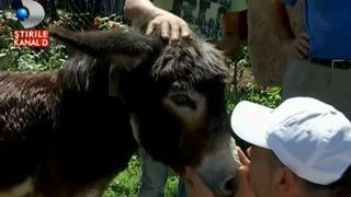 "Salvam Suflete". A trudit o viata intreaga, iar acum a devenit o povara! Povestea magarusului Gheorghita