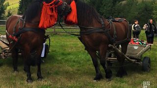 Coca-Cola HBC lanseaza platforma "Dupa Noi". O lume mai buna, prin protejarea mediului si a resurselor, dar si prin promovarea traditiilor