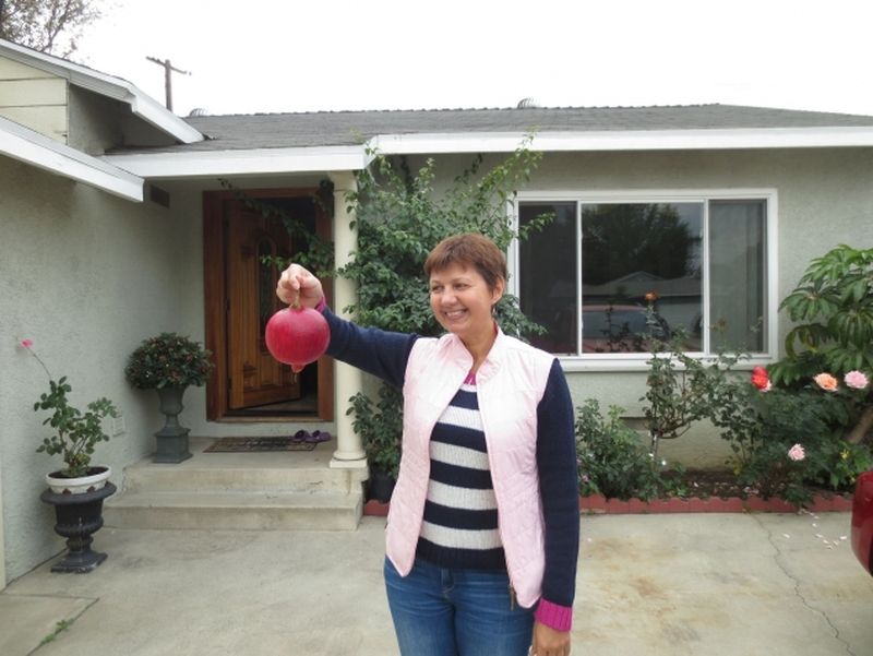 Corina Dragotescu, in curtea primei case din America