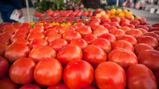 Adevarul a iesit la iveala. Cum stii ca rosiile pe care le cumperi din supermarket sunt cu adevarat bune