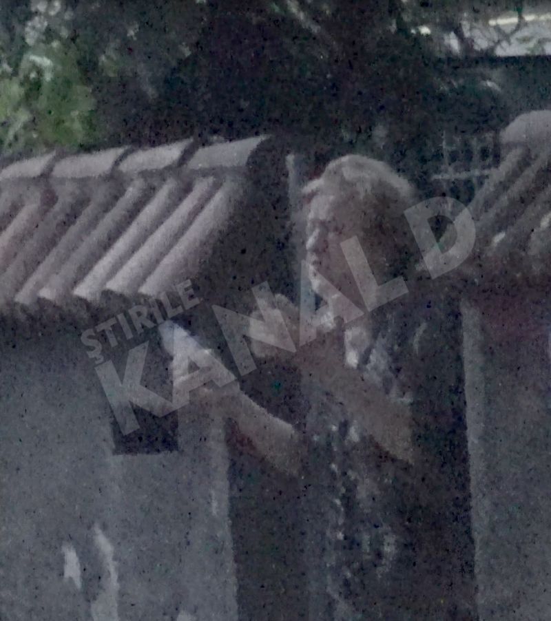 Margareta Costea a iesit sa-si ia medicamentele, apoi a intrat repede in casa