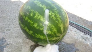 ATENTIE mare! Pepenii injectati fac ravagii. Cum sa deosebesti pepenii naturali de cei pompati artificial