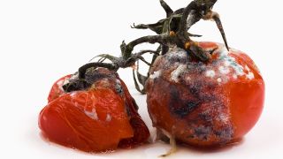 Proiect de lege. Amenzi triplate pentru marile magazine care vand alimente expirate!